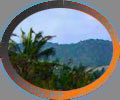 L'affaire de Tobago
